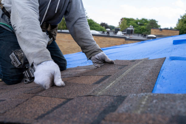 Sheet Metal Roofing in Thompsonville, PA